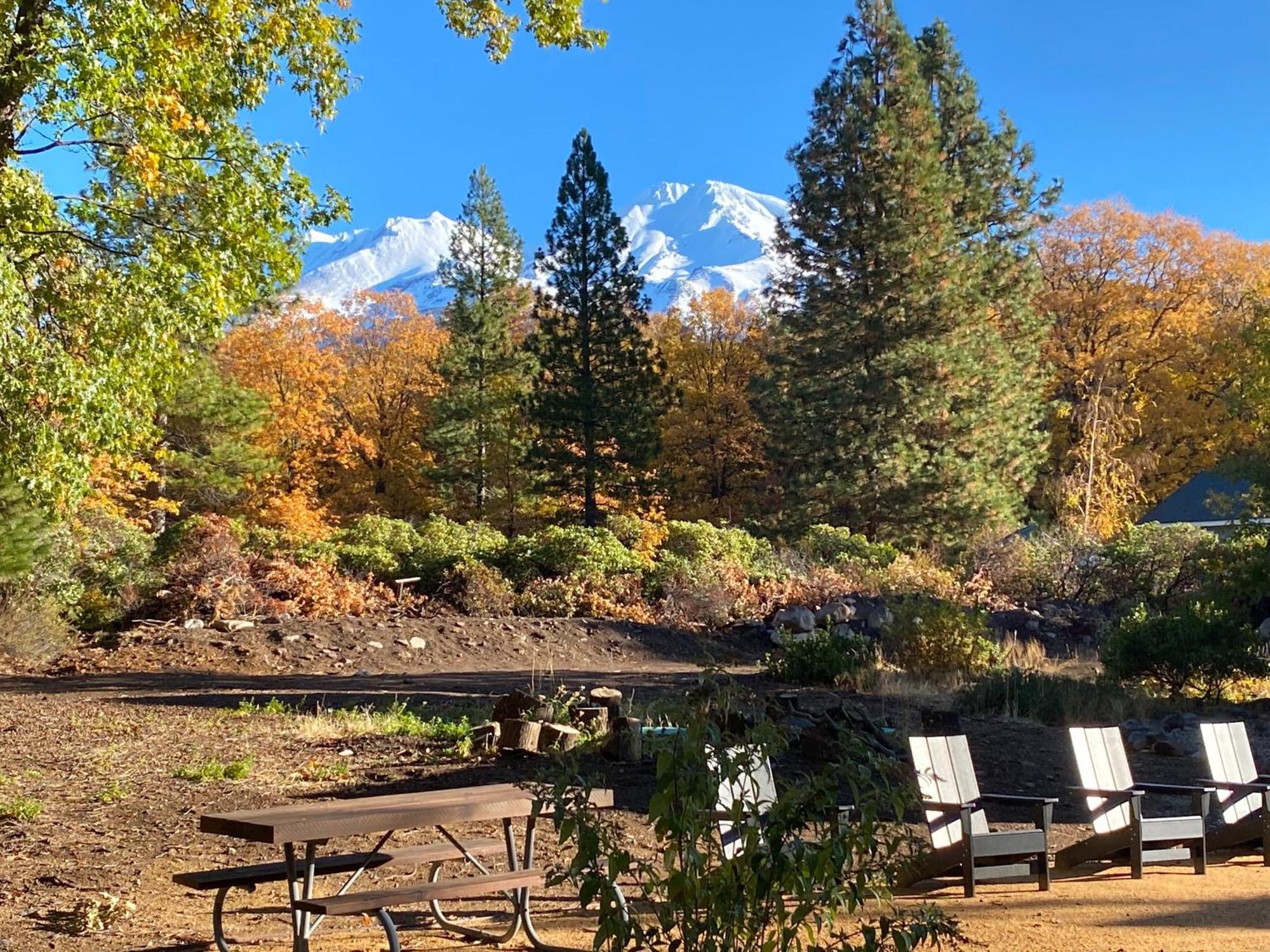 Basecamp Lodge Mount Shasta Exterior photo